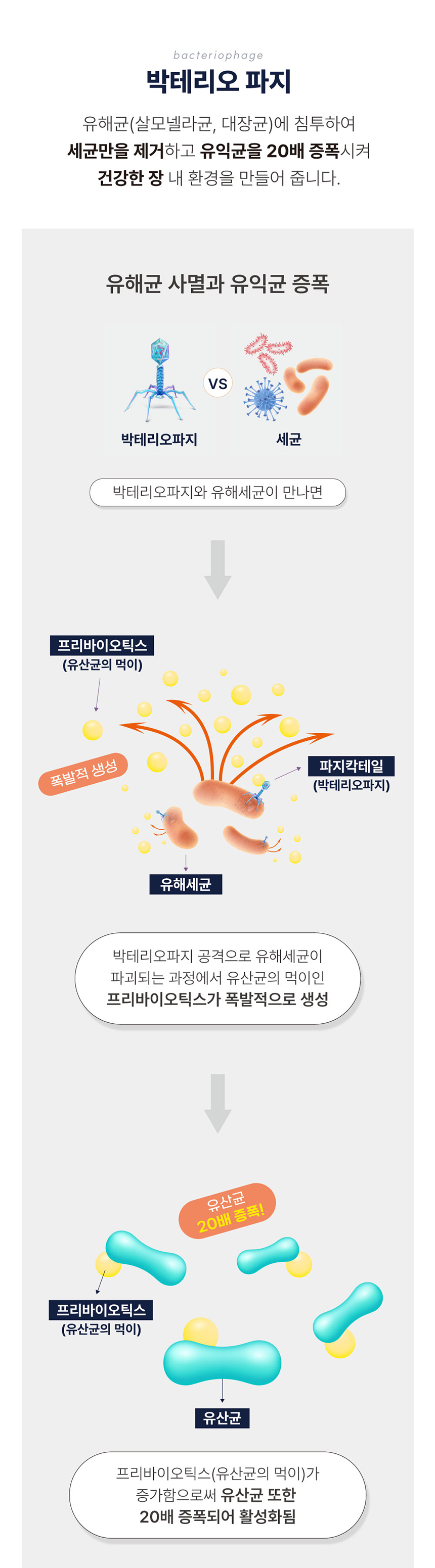 [NEW신상][무료배송] 올바른끼니 알파-소고기 박테리오파지 (면역건강) 1.2kg 10번째