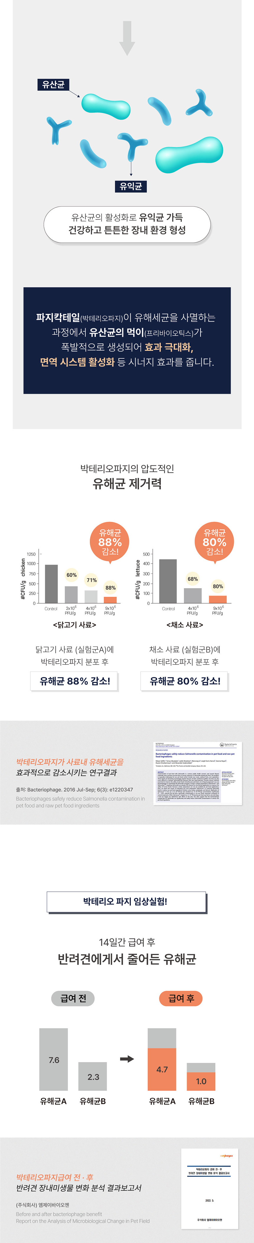 [NEW신상][무료배송] 올바른끼니 알파-소고기 박테리오파지 (면역건강) 1.2kg 11번째