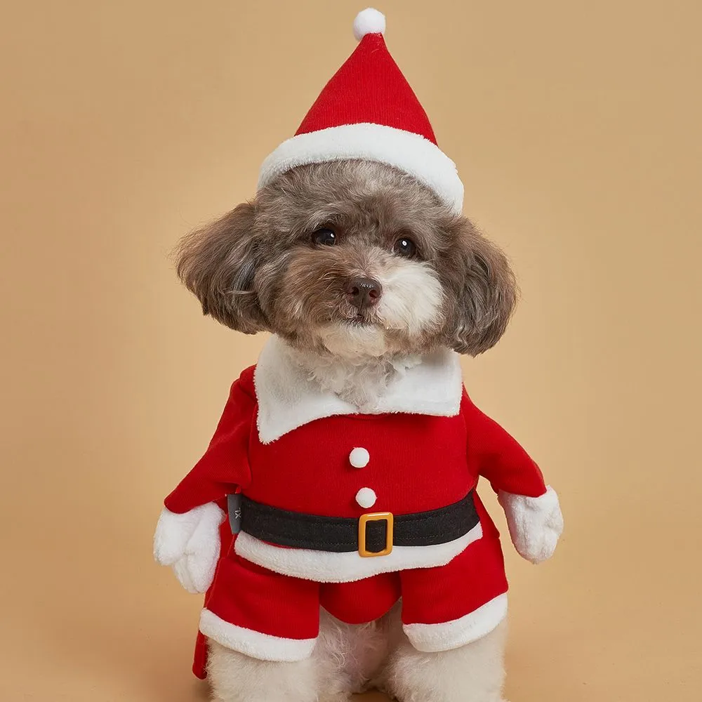 [무료배송] 도그아이 3D 산타 빨강색 XS-2XL