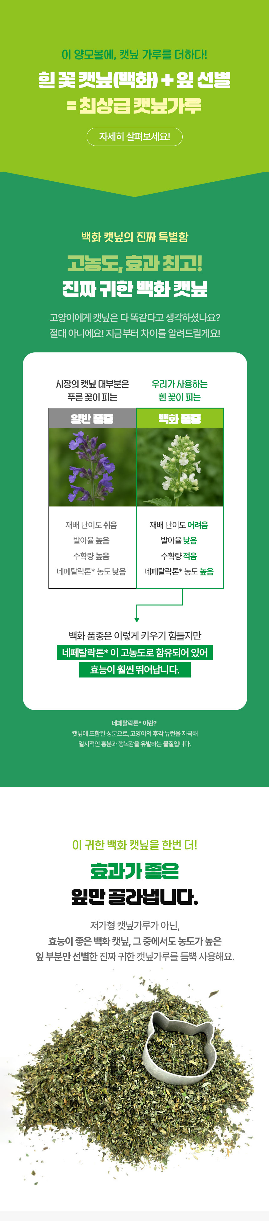 [NEW신상][무료배송] [4개] 크레용펫 캣닢 묻힌 알사탕 양모볼 5cm 3번째