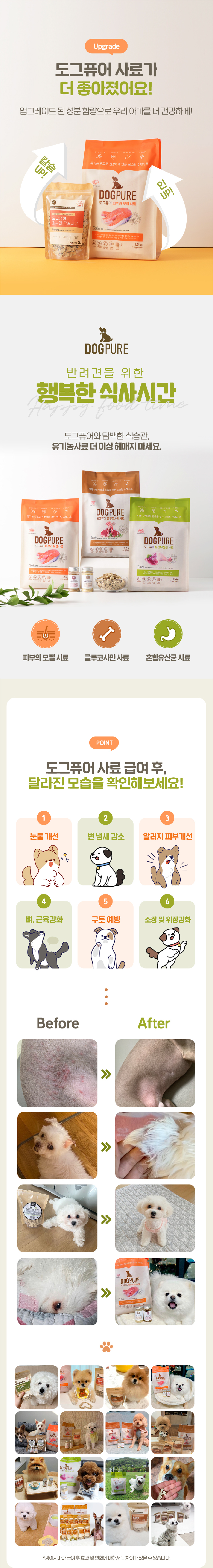 [NEW신상][무료배송] 도그퓨어 사료 3종 모음 (피부와모질/뼈관절/위장건강) 2번째
