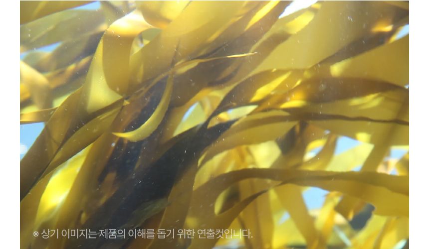 [신상할인전]펫생각 데일리케얼 후코이단 PRO 영양제 30캡슐 25번째