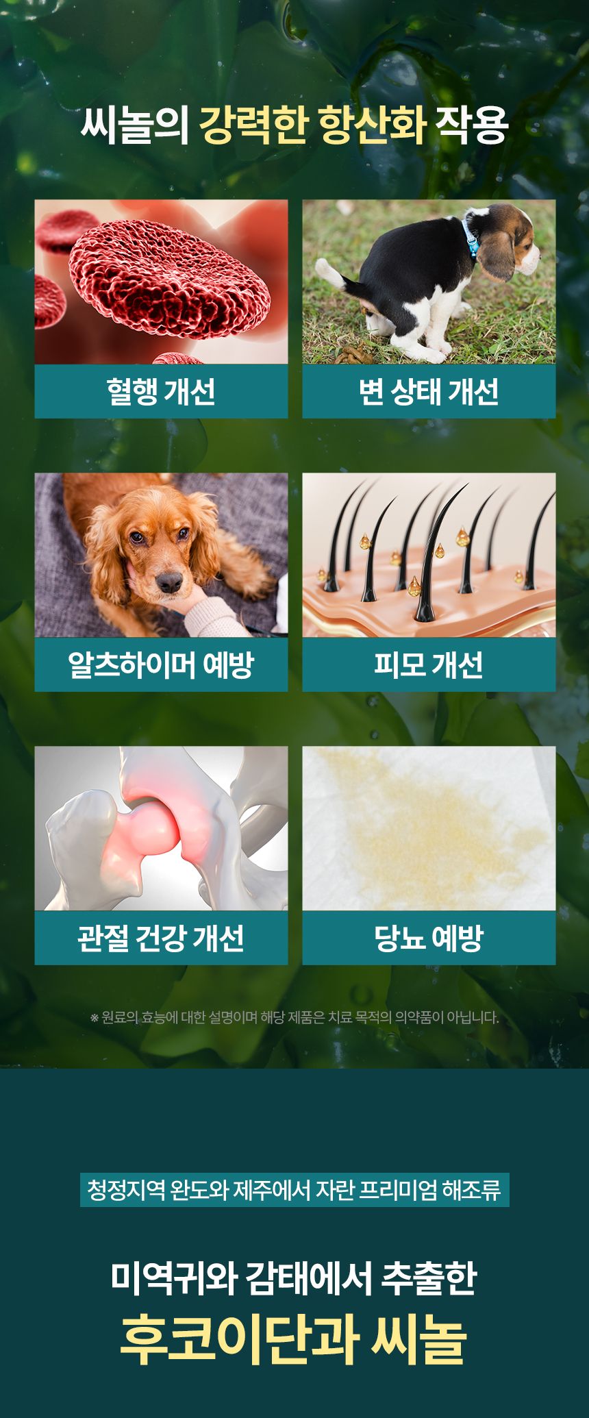 [신상할인전]펫생각 데일리케얼 후코이단 PRO 영양제 30캡슐 16번째