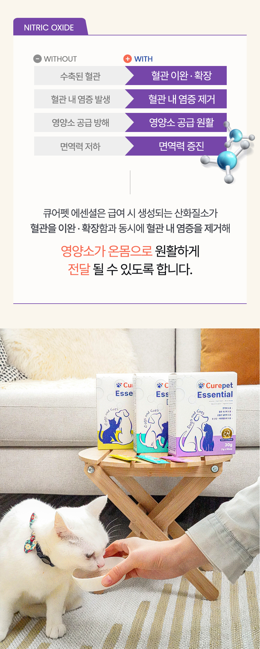 [NEW신상][무료배송] 큐어펫 심혈관&장 건강 영양제 30g 19번째