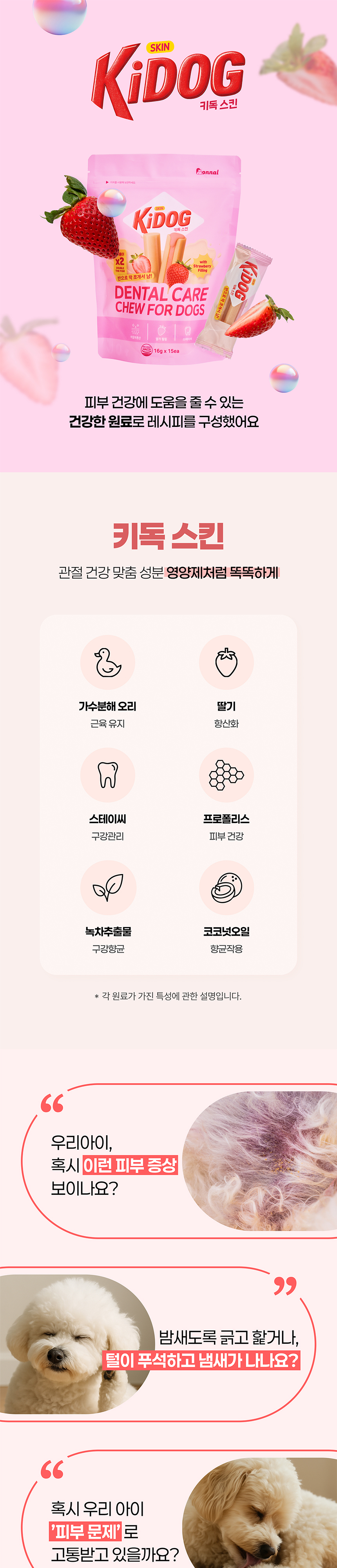 [NEW신상][무료배송] 온날 키독 덴탈껌 스킨 240g 1번째