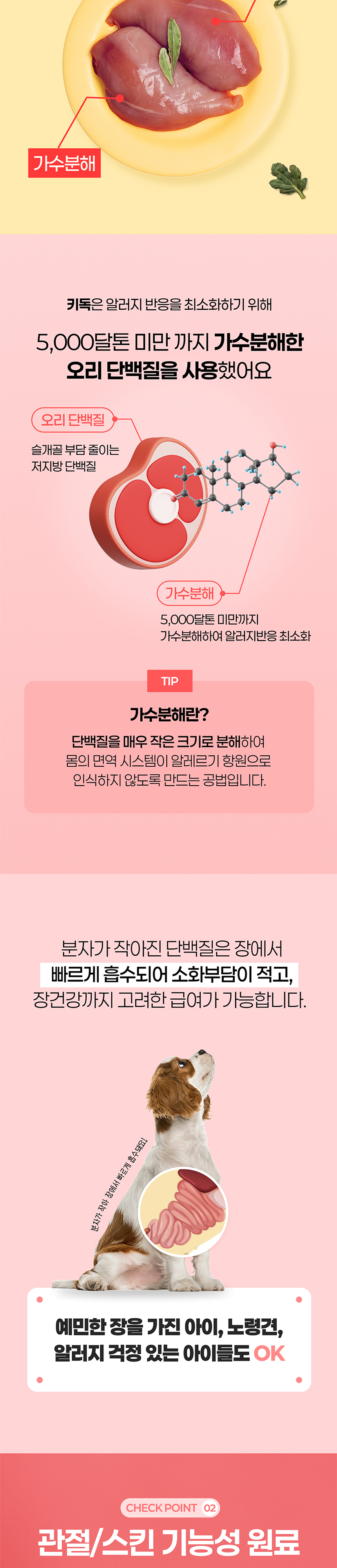 [NEW신상][무료배송] 온날 키독 덴탈껌 스킨 240g 4번째