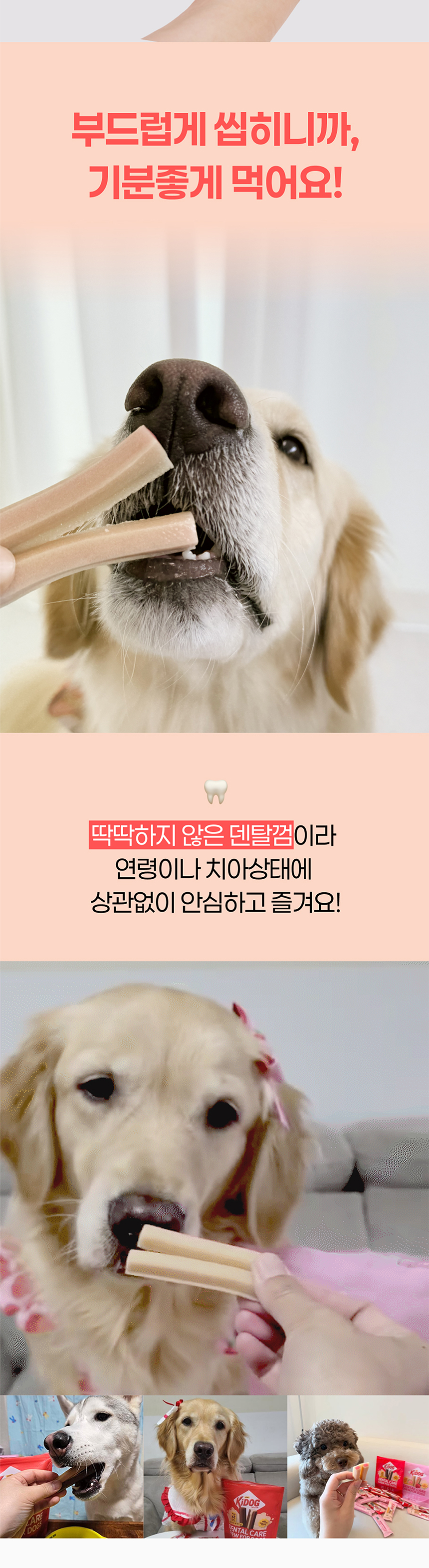 [NEW신상][무료배송] 온날 키독 덴탈껌 스킨 240g 7번째
