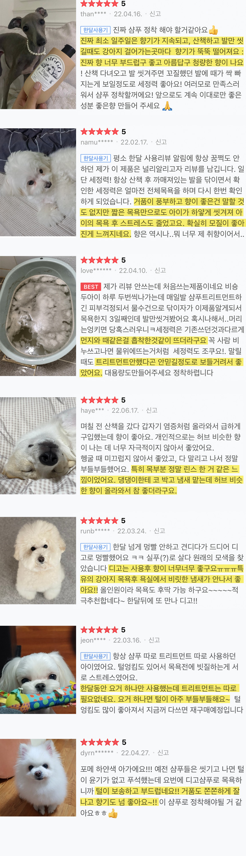 [무료배송] 디고 펫 에스테틱 삼푸 300ml 3번째