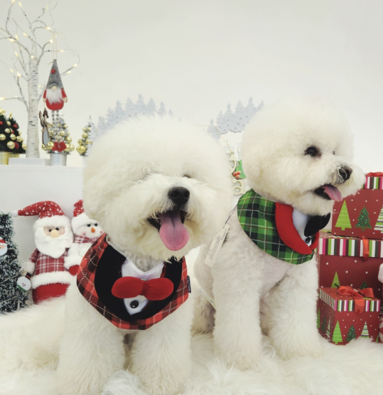 [NEW신상][무료배송] 리치독스 성탄절 체크 케이프 그린 5번째