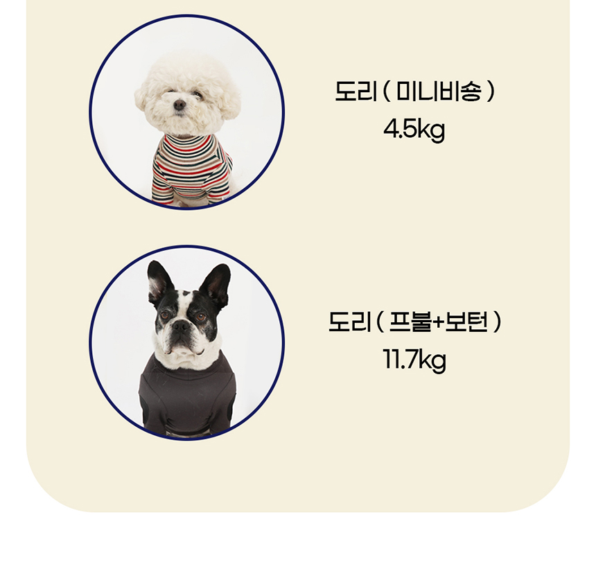 [NEW신상][무료배송] 개과천선 하이드 하우스 (브라운/그레이) 24번째