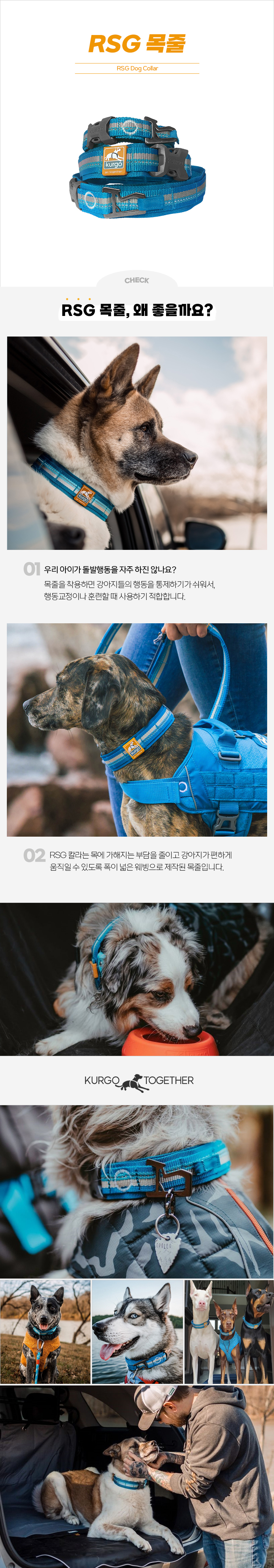 [무료배송] 커고 독 RSG 목줄 S-L 2번째
