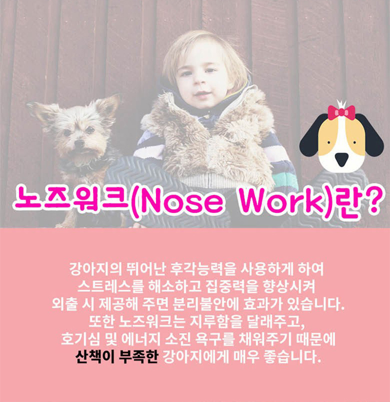[무료배송] 예보들 후각 놀이매트 노즈워크 2번째