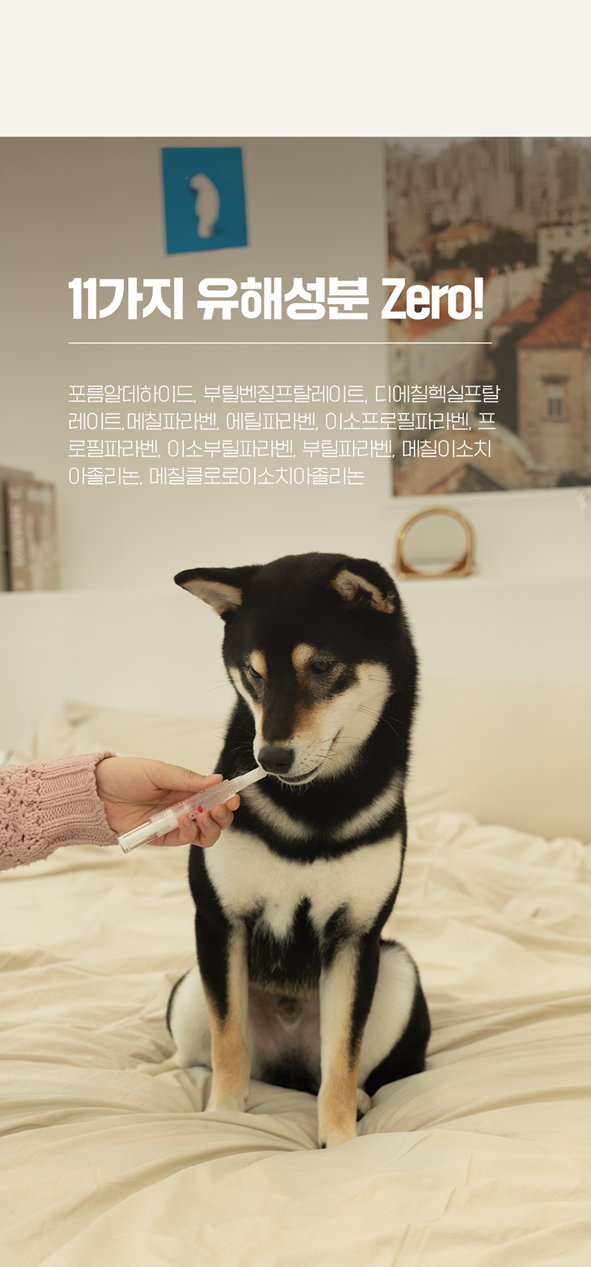 [NEW신상][무료배송] [1+1] 펫웨그테일 올인원 덴탈펜 치약 칫솔이 하나로 웨그테일 반려견 치약 칫솔 15번째