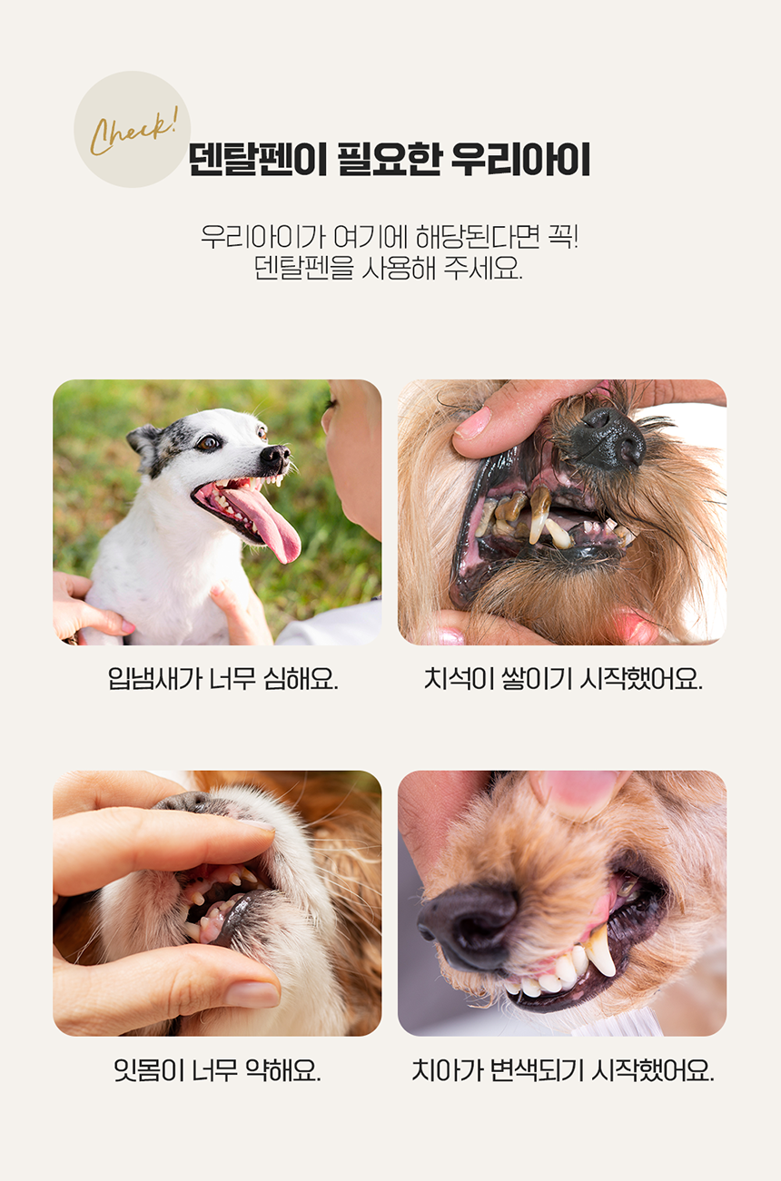 [NEW신상][무료배송] [1+1] 펫웨그테일 올인원 덴탈펜 치약 칫솔이 하나로 웨그테일 반려견 치약 칫솔 20번째