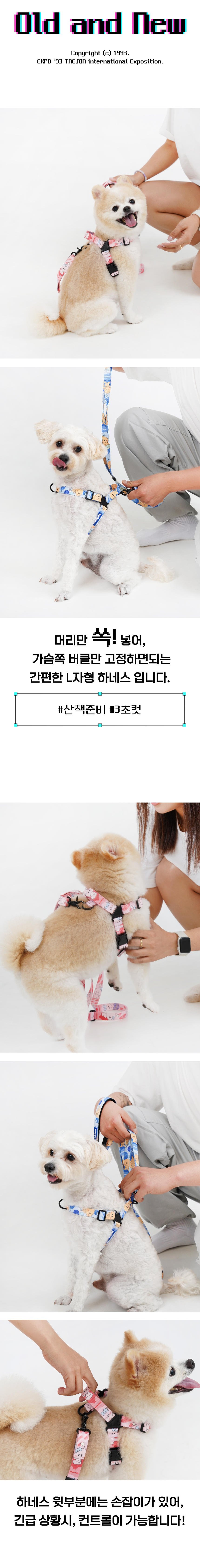 [NEW신상][무료배송] 바크하우스X꿈돌이 앞섬 방지 가슴줄 (XS-L) 6번째