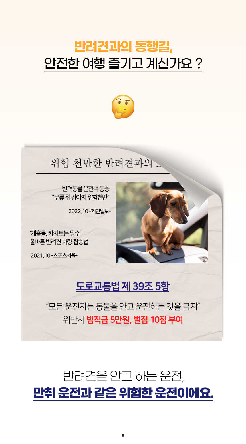 [NEW신상][무료배송] 개과천선 독 코튼 카시트 (오트 베이지/오트 그레이) 2번째