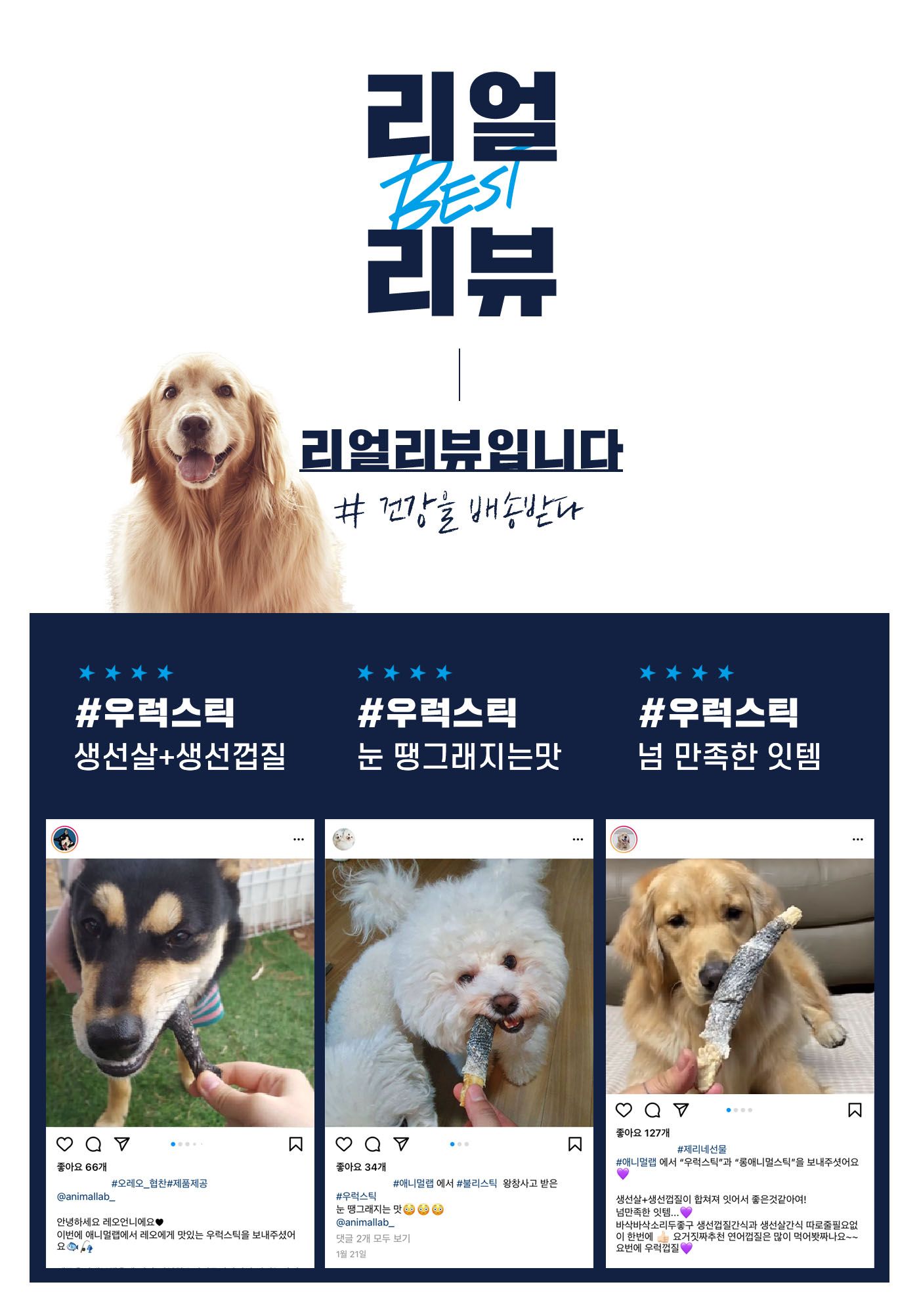 [무료배송] 애니멀랩 동결건조 활어식탁 참돔스틱 5p 8번째