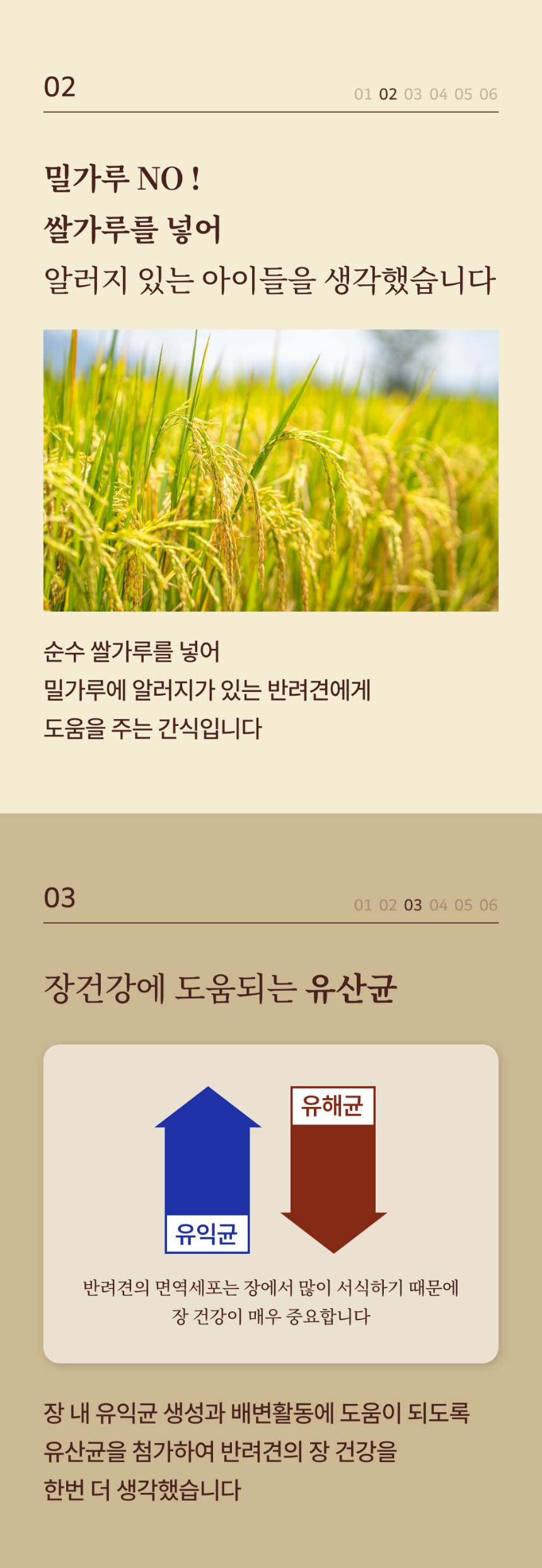 똑똑한입 독 건강솜씨 관절, 치아, 장 400g 5번째