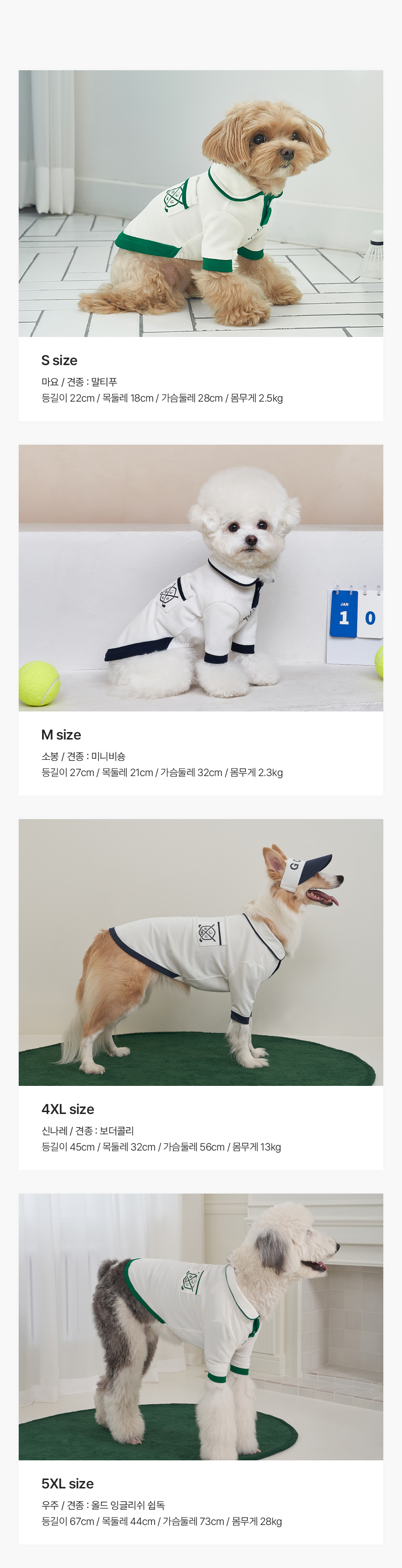 [무료배송] 베일리 향균 해충방지 골프 포켓티 S-5XL 5번째