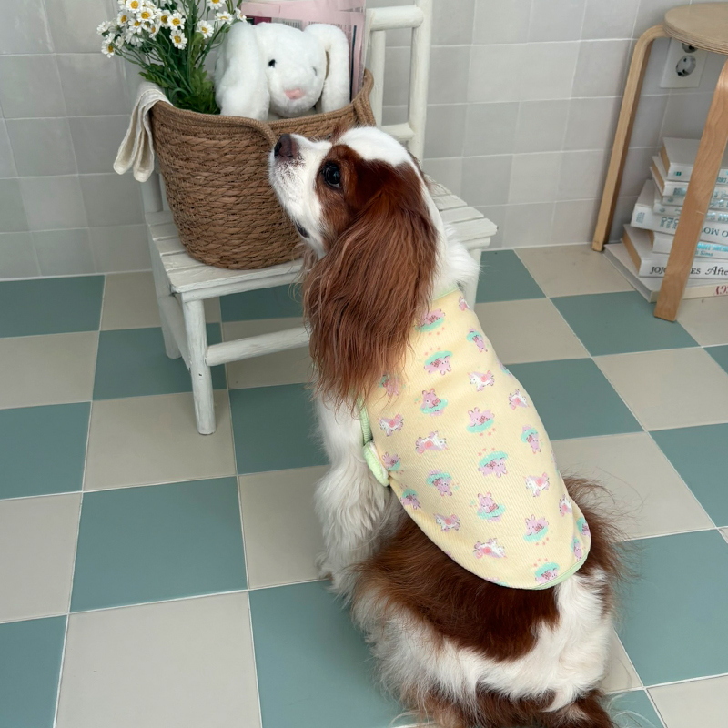 [NEW신상][무료배송] 해피댕댕 베베수면조끼 2종 (아이보리,옐로우) S-XL 14번째