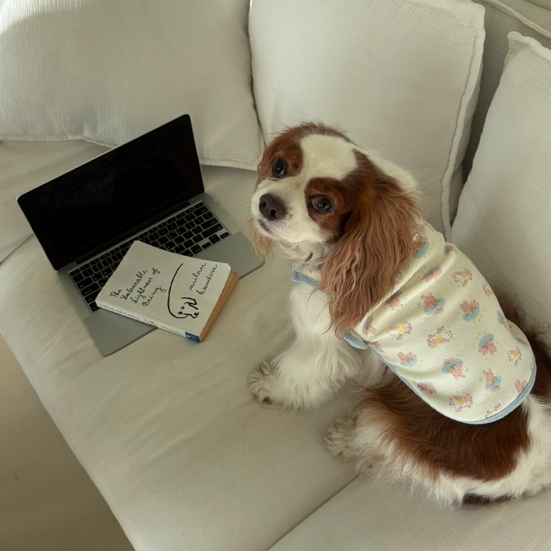 [NEW신상][무료배송] 해피댕댕 베베수면조끼 2종 (아이보리,옐로우) S-XL 11번째