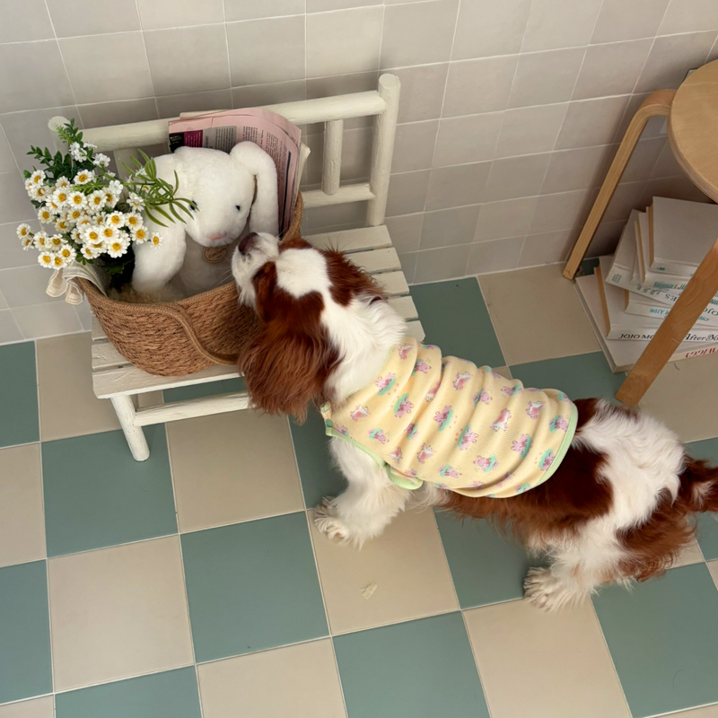 [NEW신상][무료배송] 해피댕댕 베베수면조끼 2종 (아이보리,옐로우) S-XL 17번째