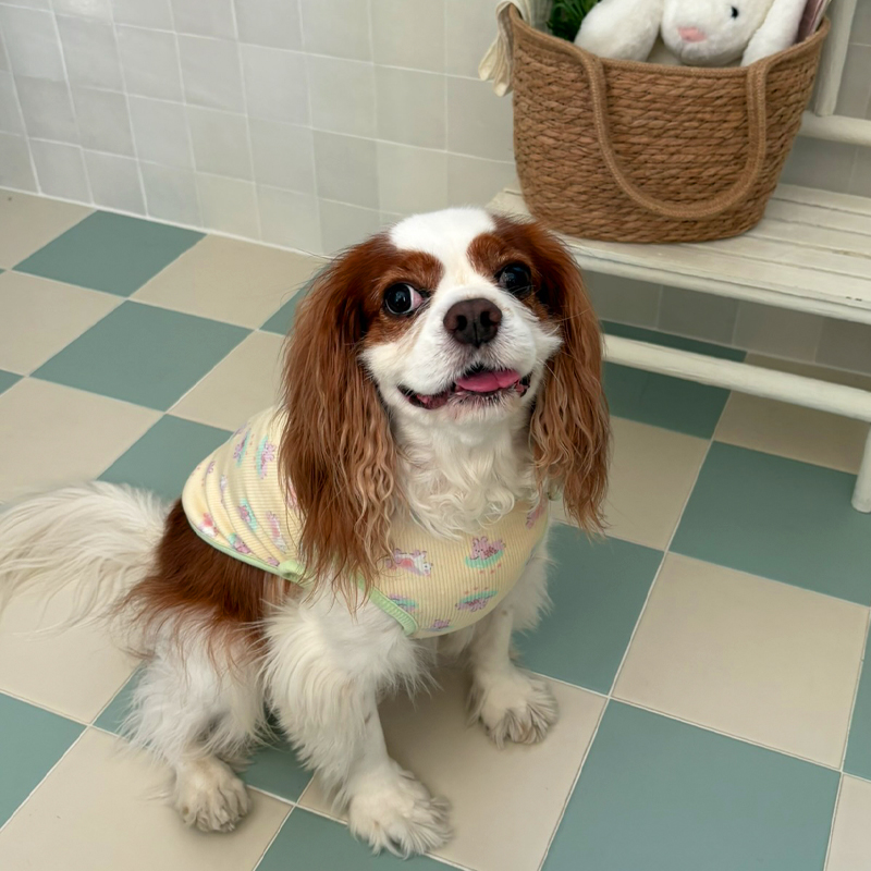 [NEW신상][무료배송] 해피댕댕 베베수면조끼 2종 (아이보리,옐로우) S-XL 16번째