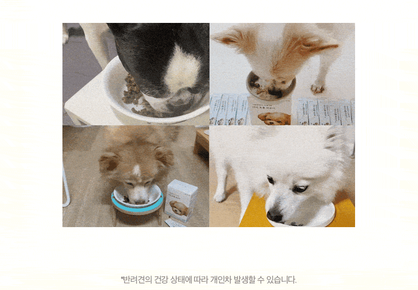 [무료배송] 코코다움 독 눈 영양제 다시 초롱 파우더 2g*30p 4번째