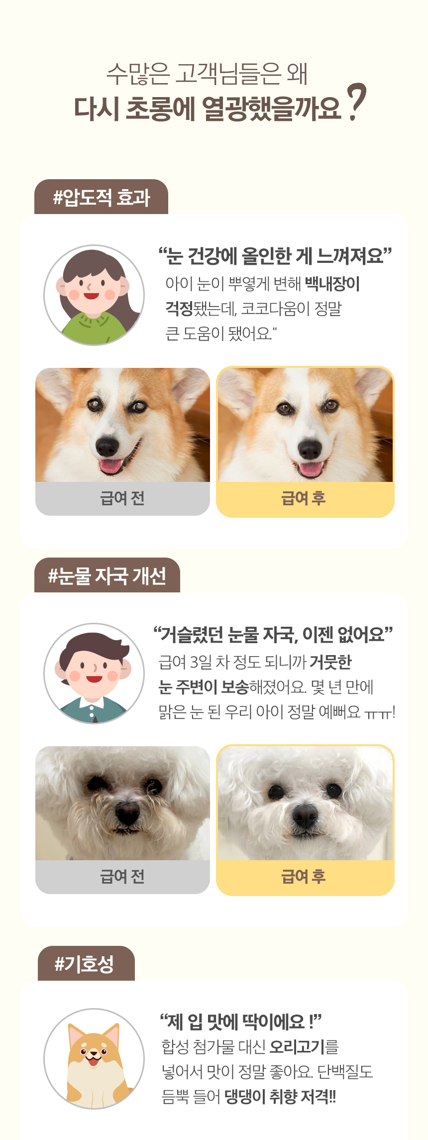 [무료배송] 코코다움 독 눈 영양제 다시 초롱 파우더 2g*30p 3번째