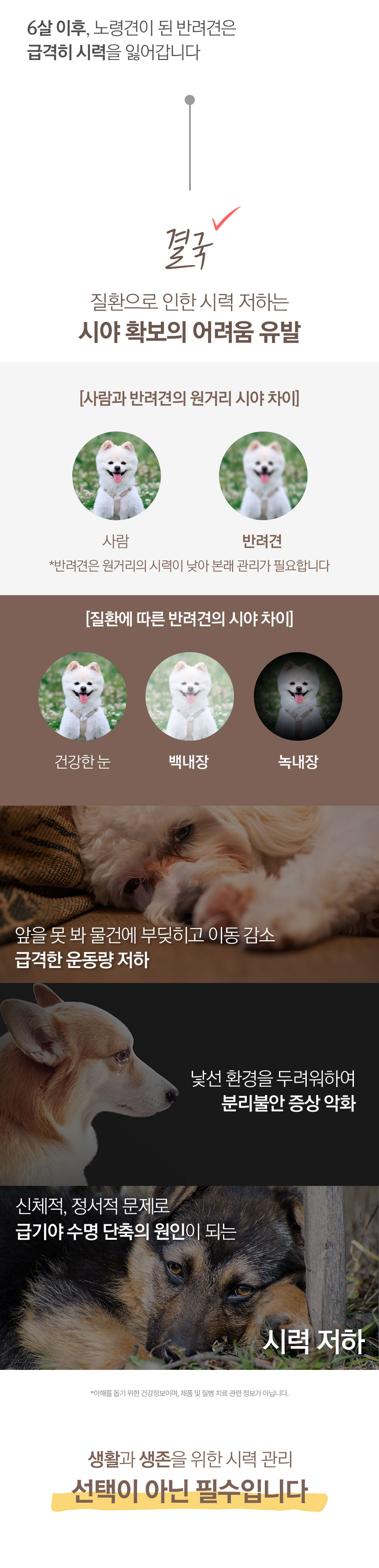 [무료배송] 코코다움 독 눈 영양제 다시 초롱 파우더 2g*30p 7번째