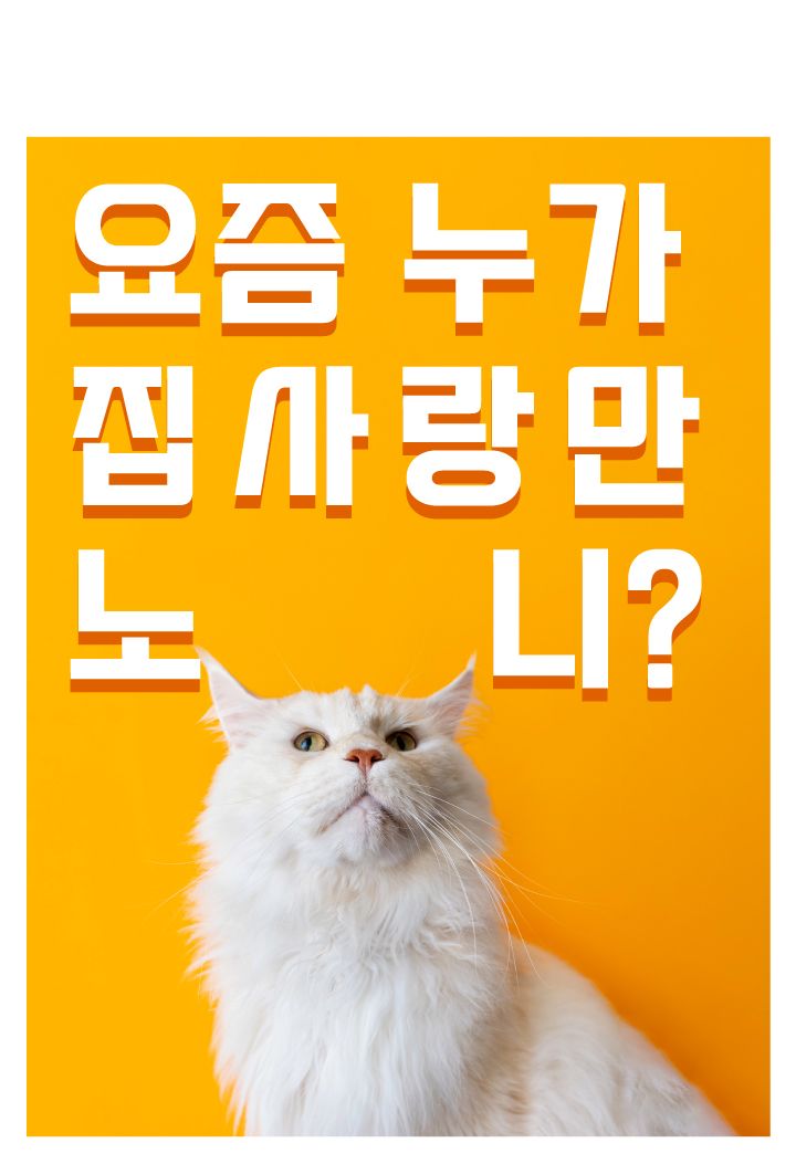 [무료배송] 캣시피 캣츠펀치 낚시대 2번째