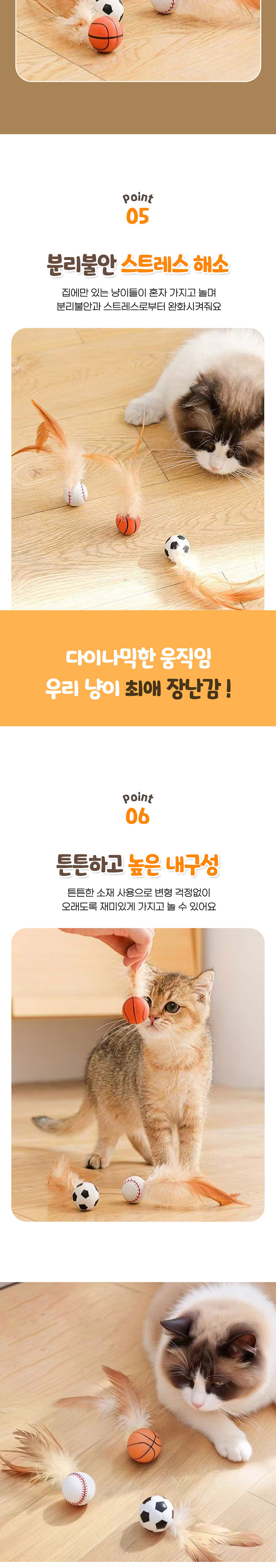 [NEW신상][무료배송] 딩동펫 고양이 스포츠볼 깃털 장난감 6종 세트 4번째