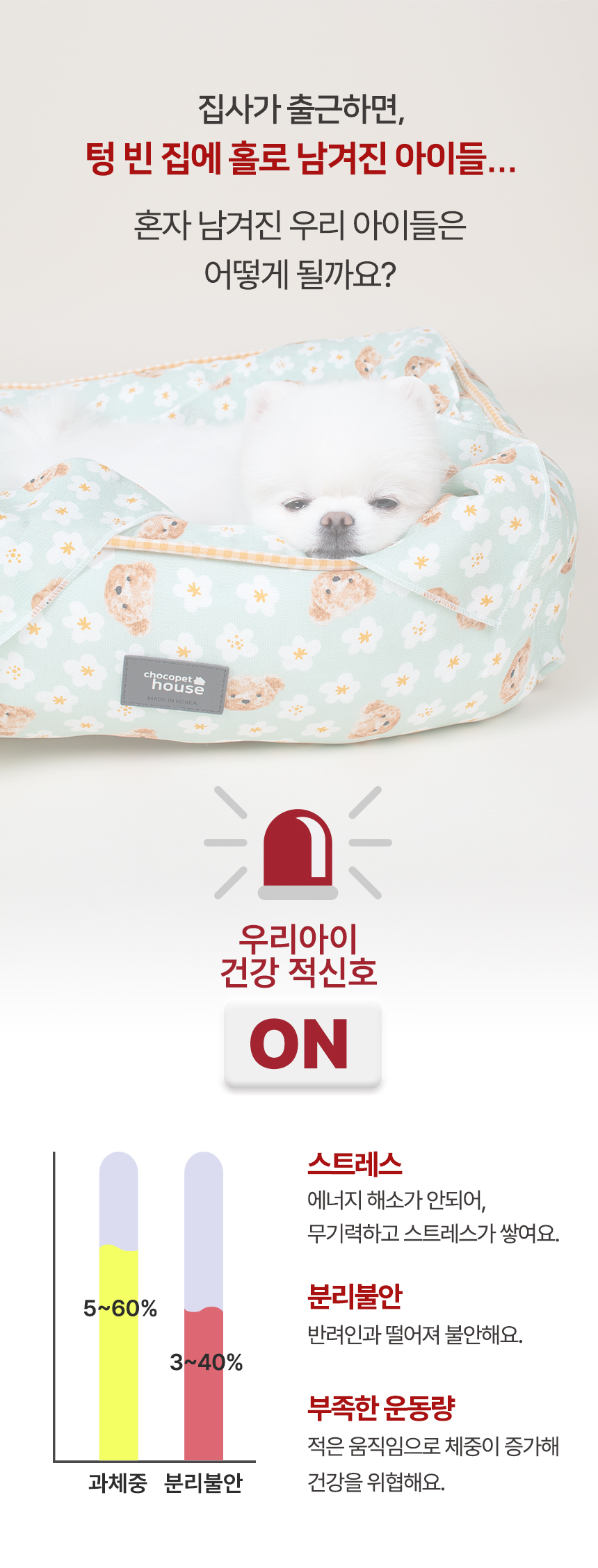 [무료배송] 초코펫하우스 바스락 노즈워크 초코볼 3번째