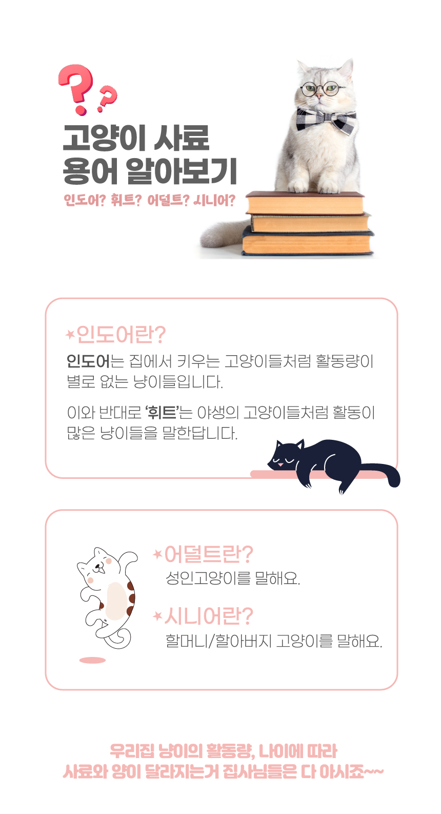 에프씨원 캣 500달톤 가수분해 저알러지 전연령 피부 면역 100g 19번째 상세 이미지