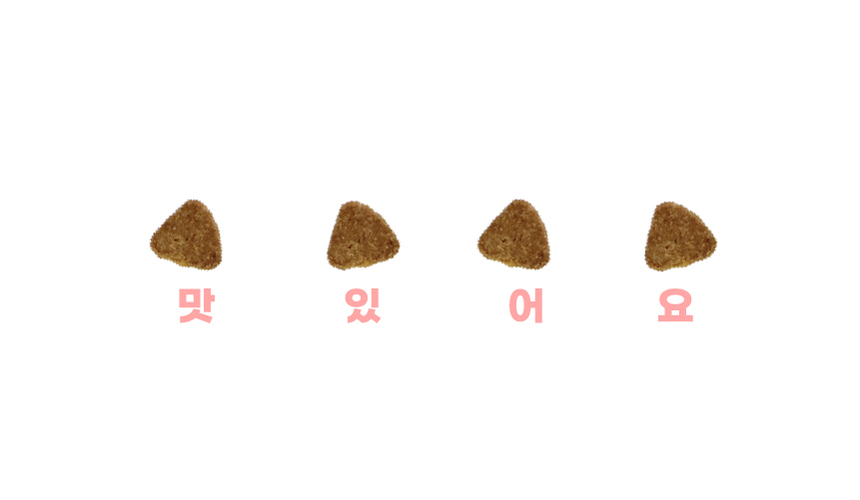 에프씨원 캣 500달톤 가수분해 저알러지 전연령 피부 면역 100g 9번째 상세 이미지