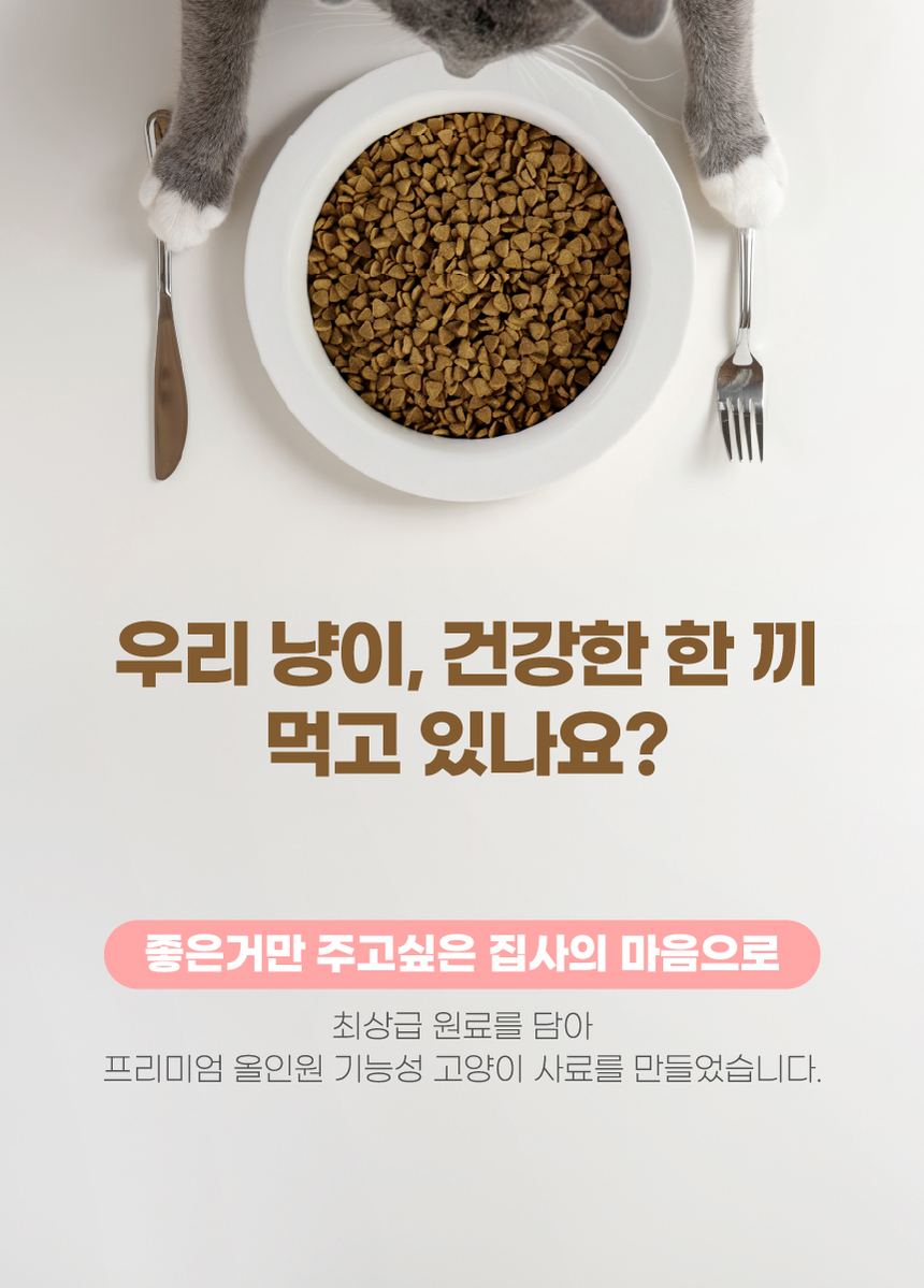 에프씨원 캣 500달톤 가수분해 저알러지 전연령 피부 면역 100g 3번째 상세 이미지