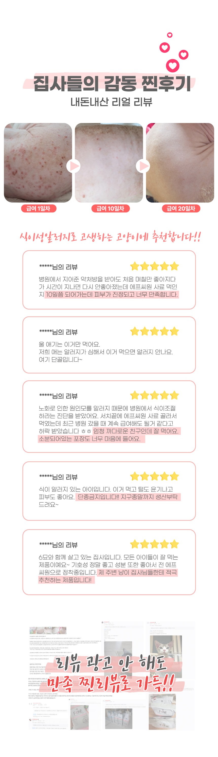 에프씨원 캣 500달톤 가수분해 저알러지 전연령 피부 면역 100g 5번째 상세 이미지