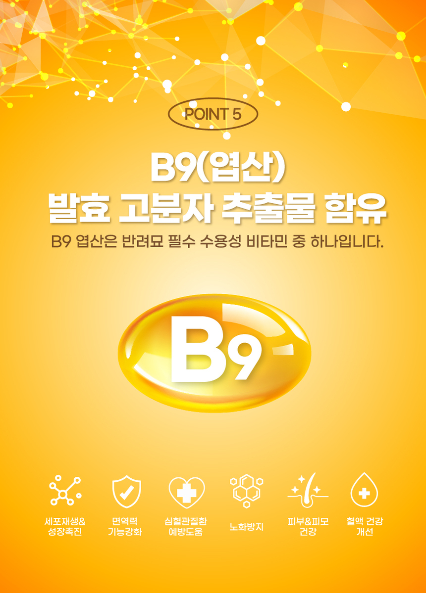 에프씨원 캣 500달톤 가수분해 저알러지 전연령 피부 면역 100g 17번째 상세 이미지