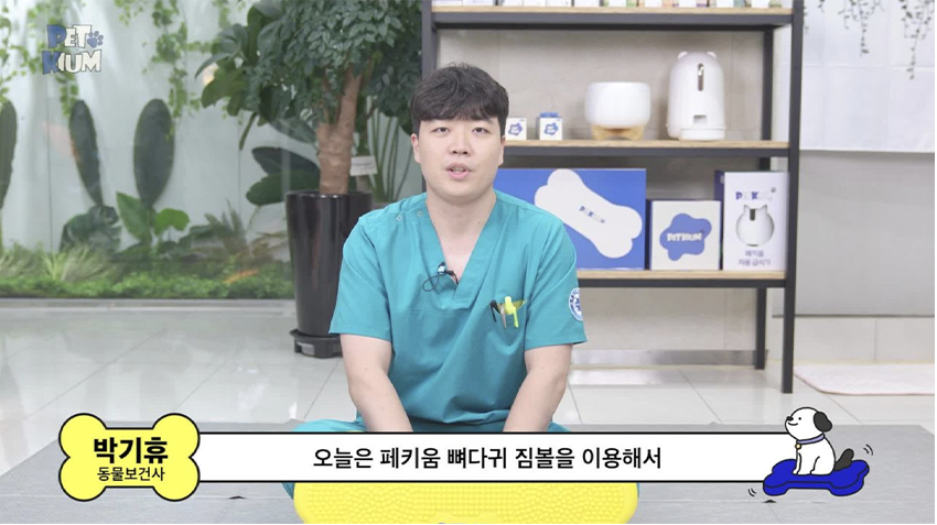 [무료배송] 페키움 뼈다귀 짐볼 노랑/파랑 14번째