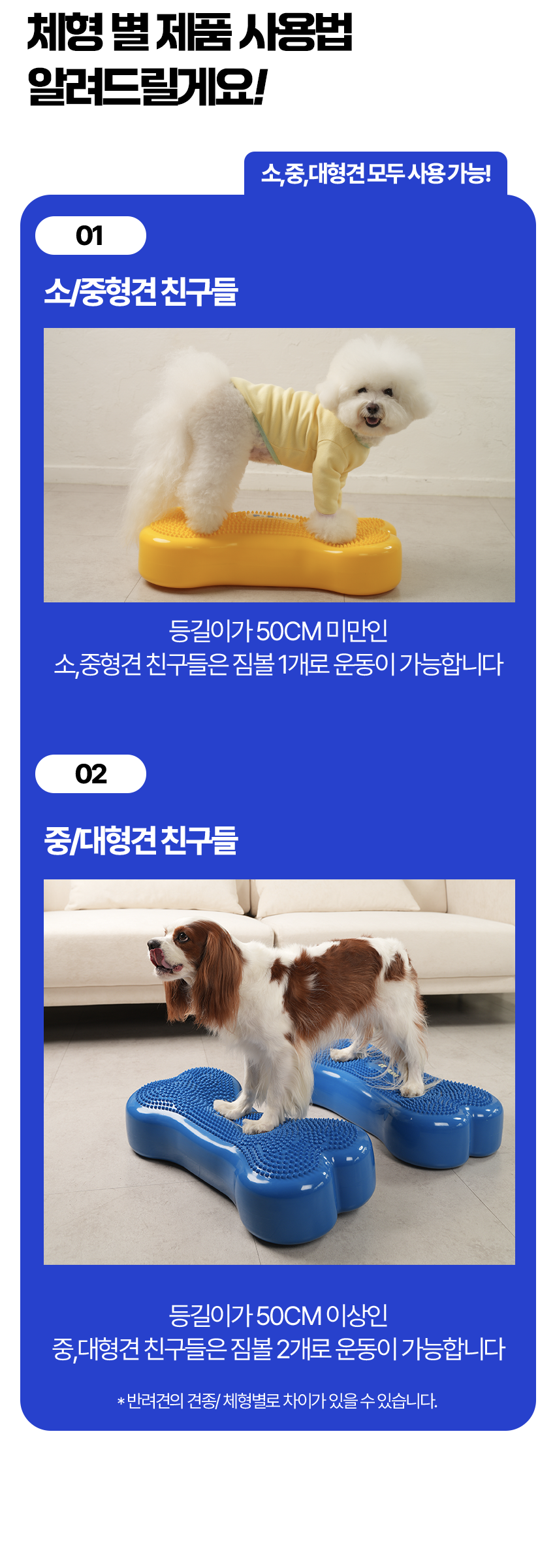 [무료배송] 페키움 뼈다귀 짐볼 노랑/파랑 20번째