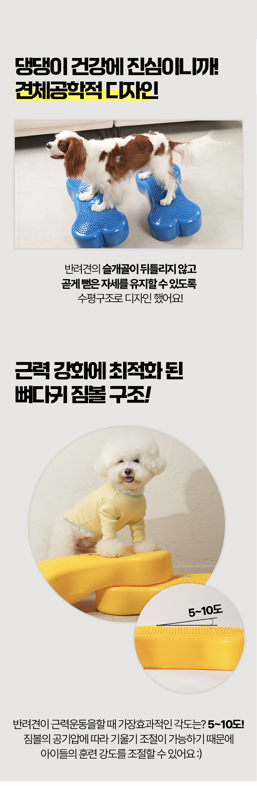 [무료배송] 페키움 뼈다귀 짐볼 노랑/파랑 17번째