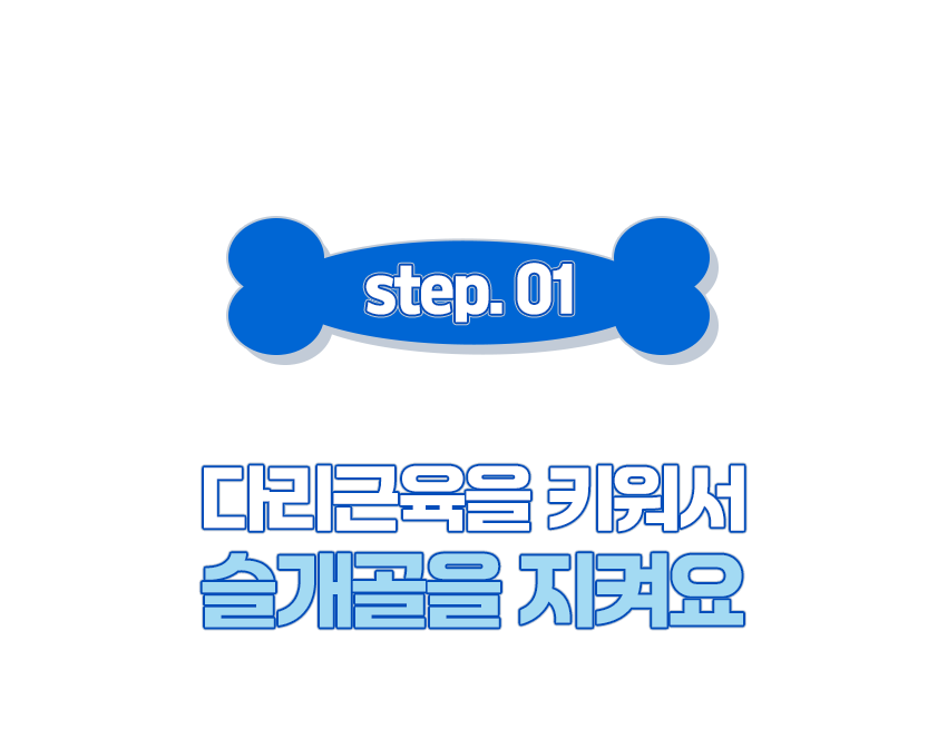 [무료배송] 페키움 뼈다귀 짐볼 노랑/파랑 10번째