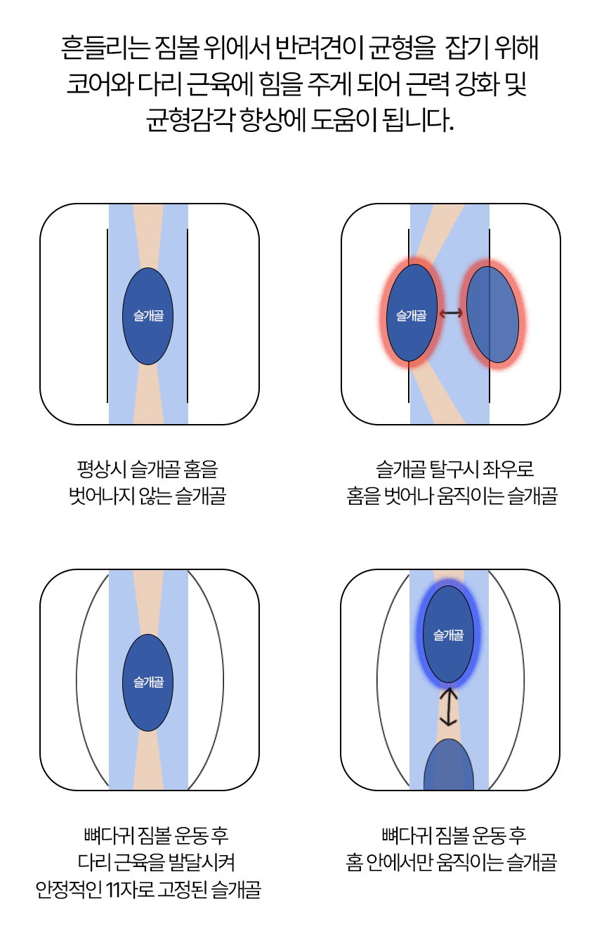 [무료배송] 페키움 뼈다귀 짐볼 노랑/파랑 12번째