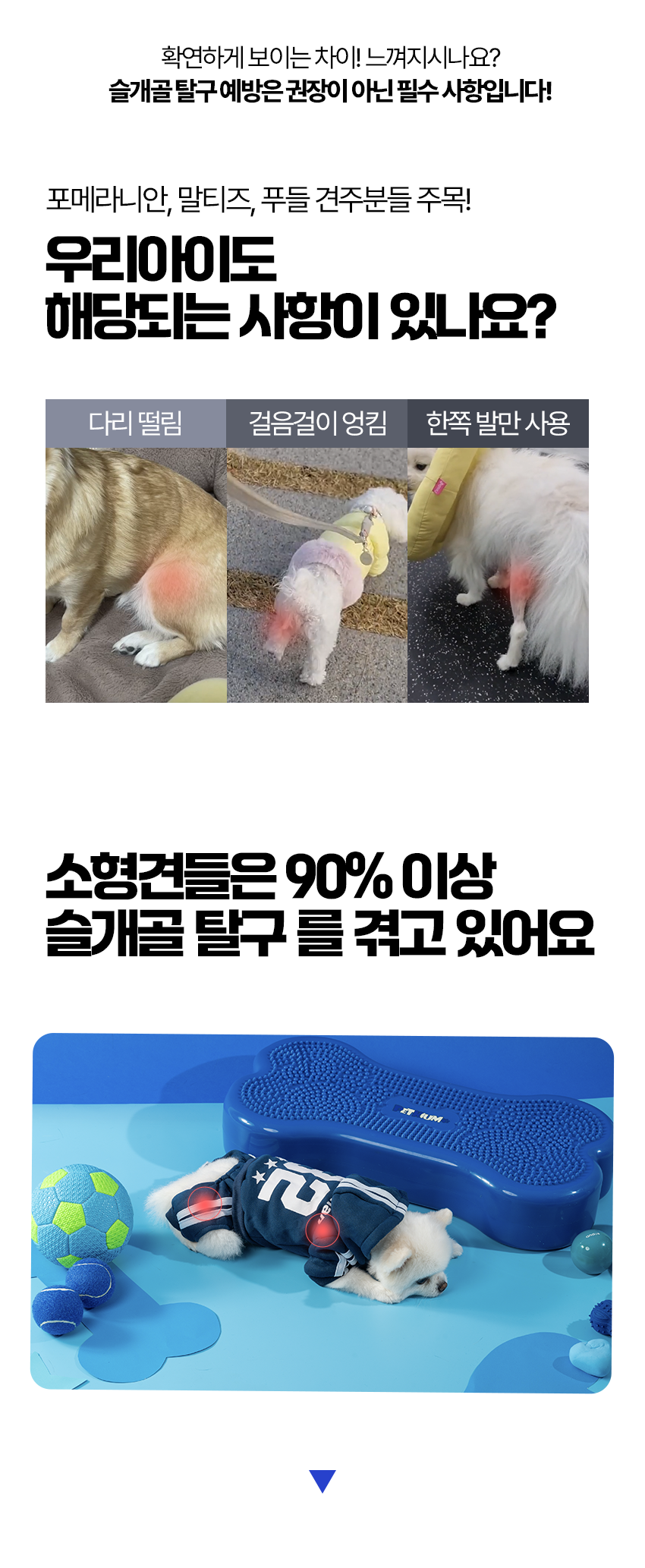 [무료배송] 페키움 뼈다귀 짐볼 노랑/파랑 7번째