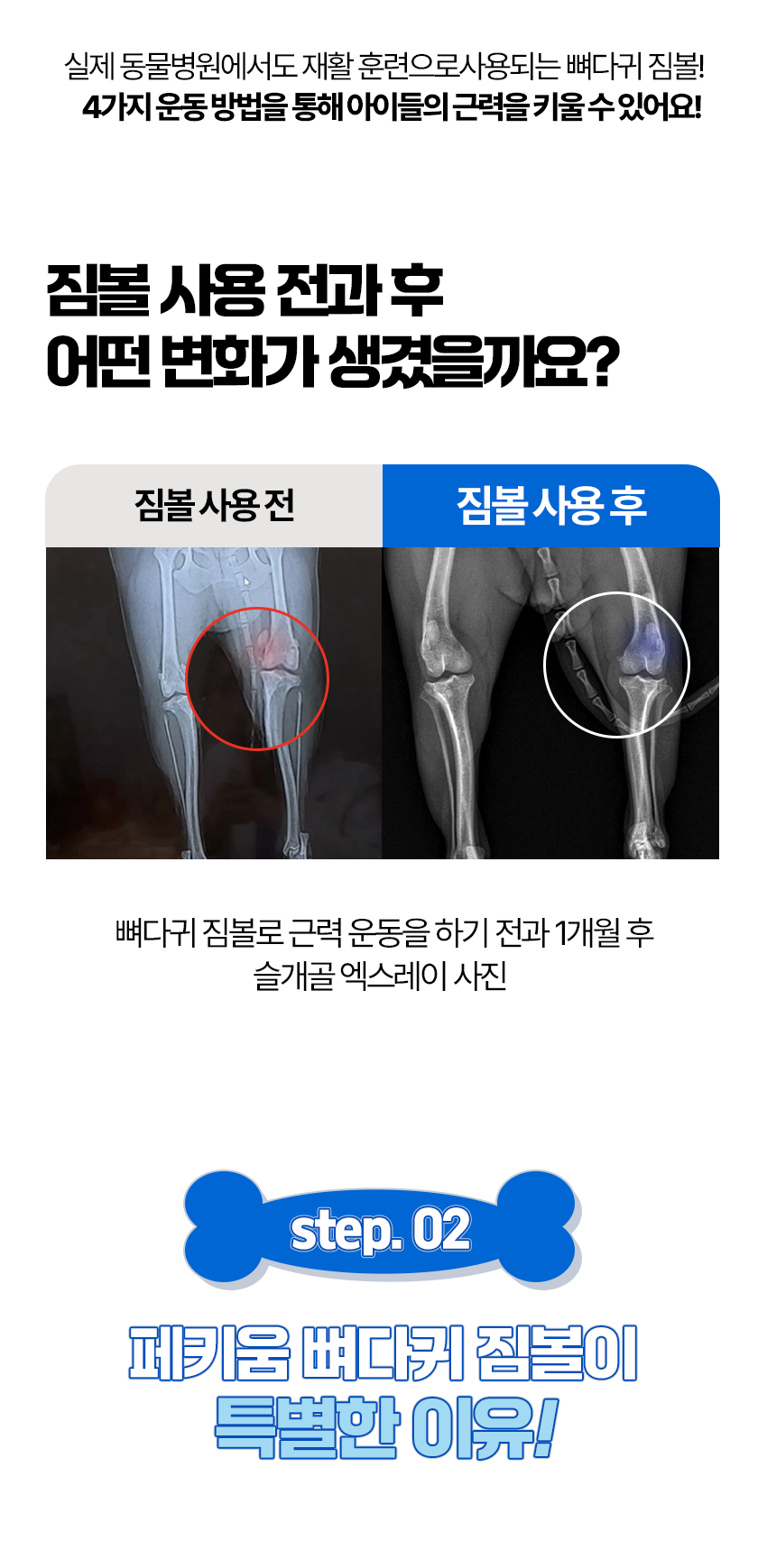 [무료배송] 페키움 뼈다귀 짐볼 노랑/파랑 15번째