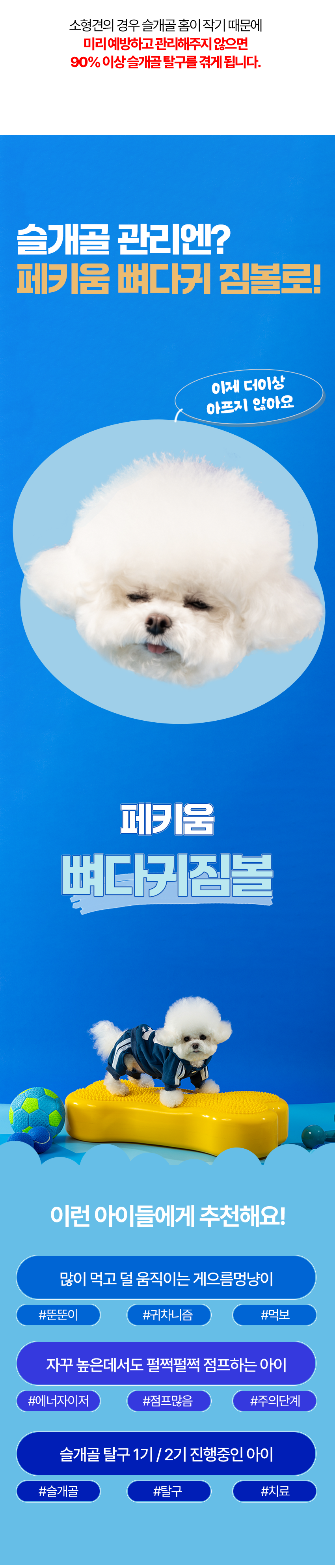 [무료배송] 페키움 뼈다귀 짐볼 노랑/파랑 9번째