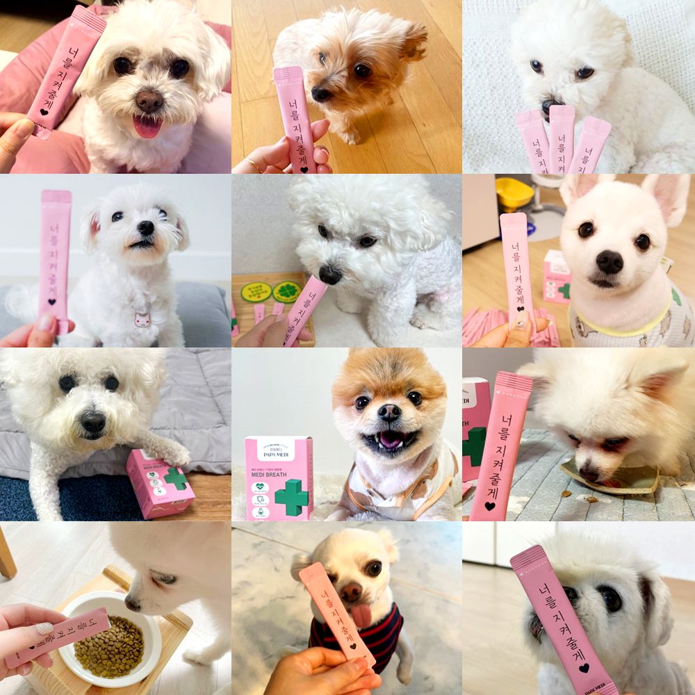 파파메디 메디브레스 기관지 영양제 협착증 2g*30p 2번째