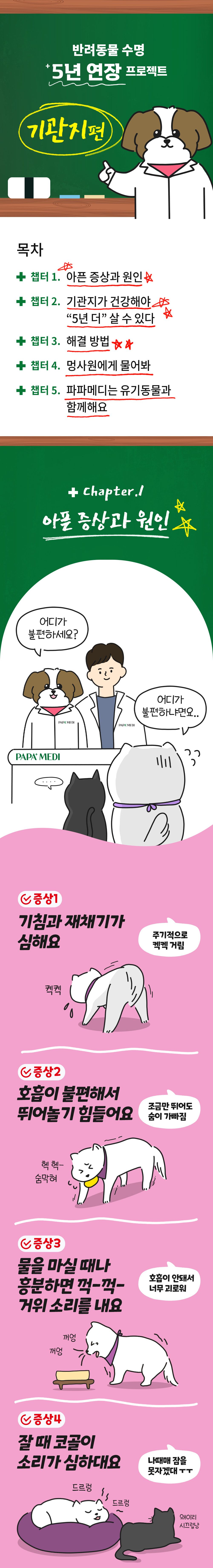 파파메디 메디브레스 기관지 영양제 협착증 2g*30p 4번째