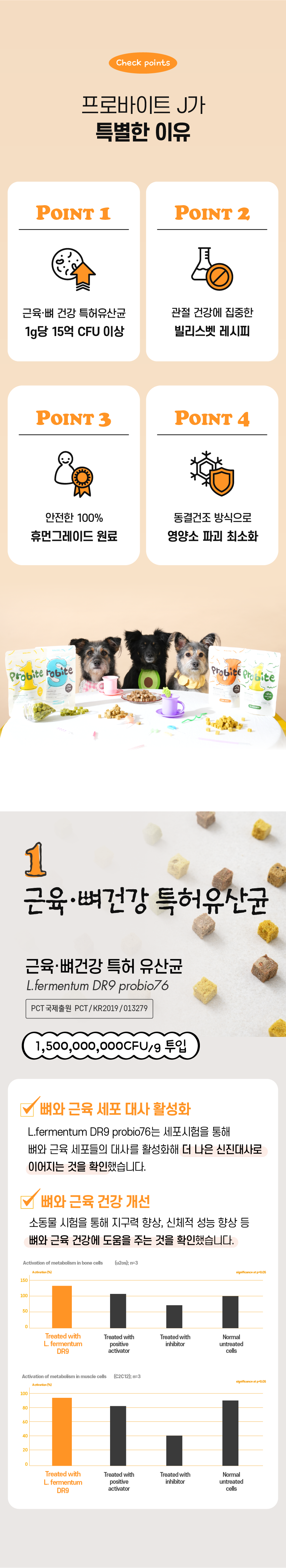 [무료배송] 빌리스벳 관절건강 프로바이트 J 말고기 30g 3번째