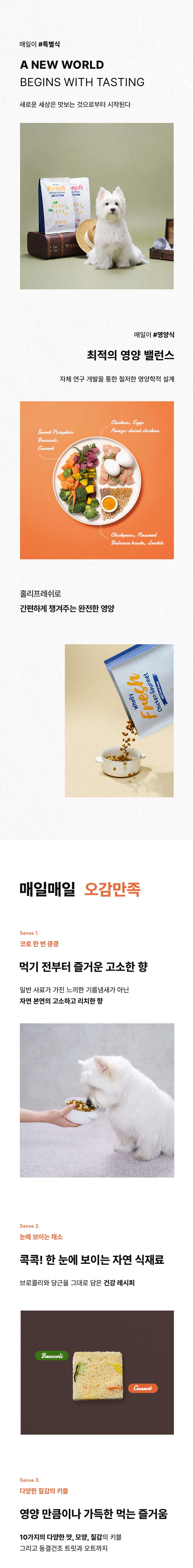 [체험단] [4개] 키츠 독 홀리 프레쉬 치킨고매 트라이얼팩 40g 2번째